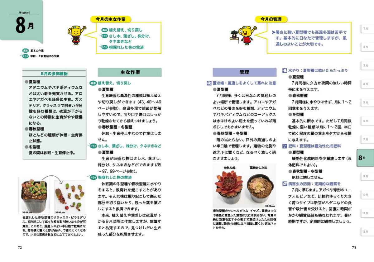 『NHK趣味の園芸　多肉植物』発売の画像