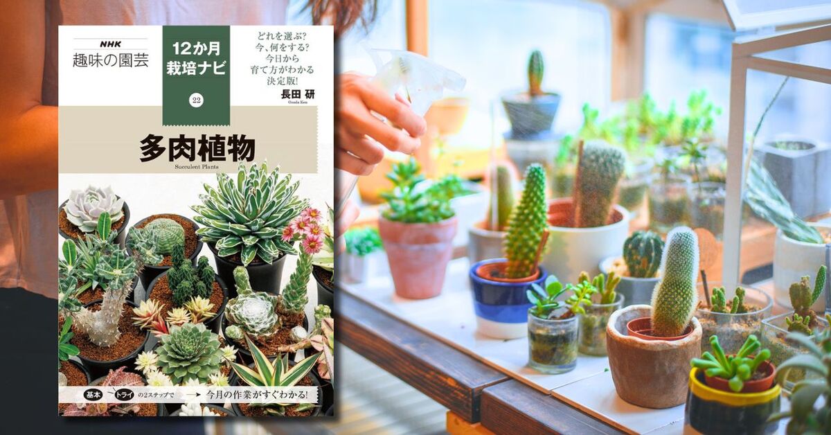 『NHK趣味の園芸　多肉植物』発売の画像