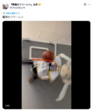 フリーレン、魔法使いからアスリートに転身の画像