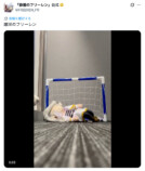 フリーレン、魔法使いからアスリートに転身の画像