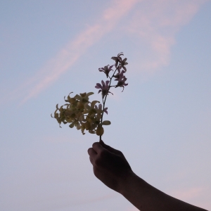 Quw「yurei」ジャケット写真