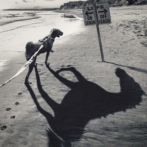 WANIMA『Off-Leash』ジャケット写真