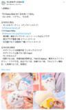 新グッズ「ちいかわbaby」がトレンド入りの画像