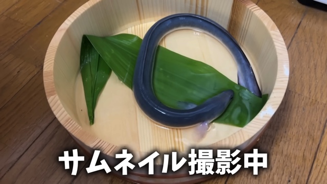 エマスちゃんねるが購入したウナギ