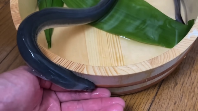 エマスちゃんねるが購入したウナギ