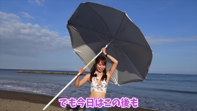 水着姿で海を満喫するあま猫