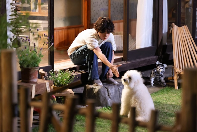 『初恋DOGs』わんこへの演技指導の裏側を聞くの画像