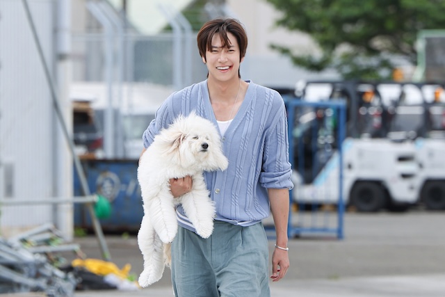 『初恋DOGs』わんこへの演技指導の裏側を聞くの画像