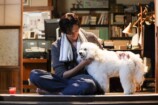 『初恋DOGs』わんこへの演技指導の裏側を聞くの画像