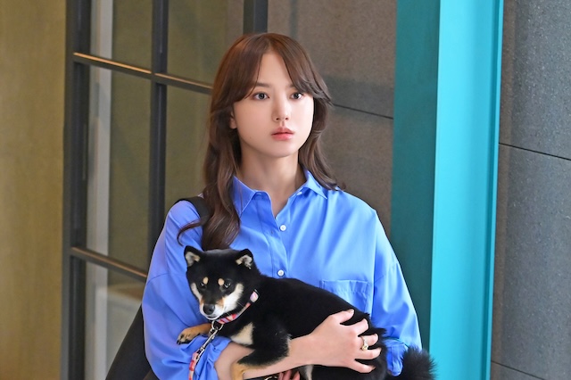 『初恋DOGs』わんこへの演技指導の裏側を聞くの画像