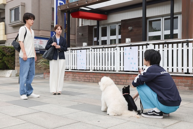 『初恋DOGs』 第9話先行カットの画像