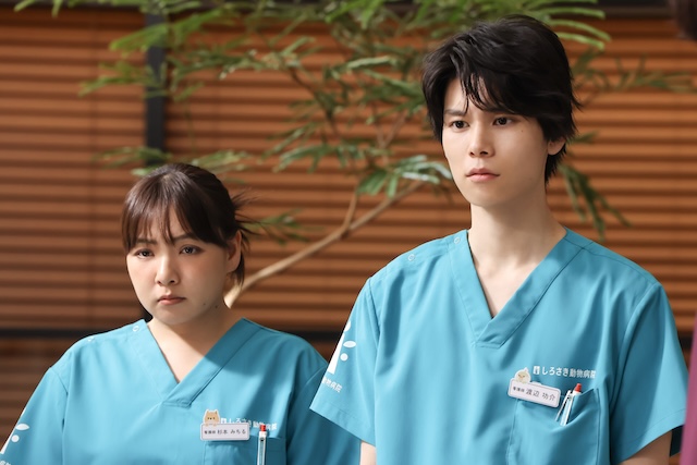 『初恋DOGs』 第9話先行カットの画像