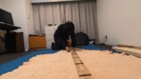 松山ケンイチがDIYで作った棚