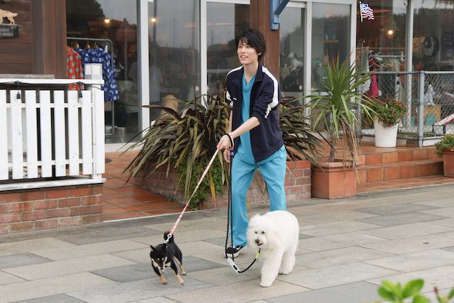 『初恋DOGs』さらにカオスな三角関係の画像