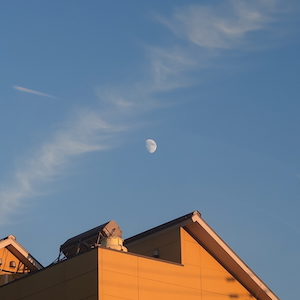 『青い鳥飛んだ EP』