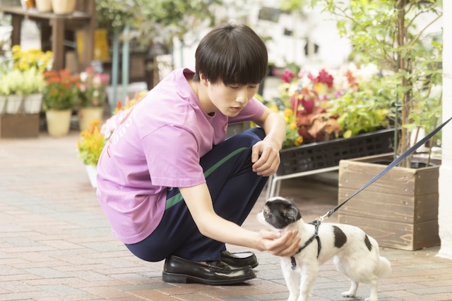 『ちはやふる－めぐり－』瑞沢OB全員集合の画像