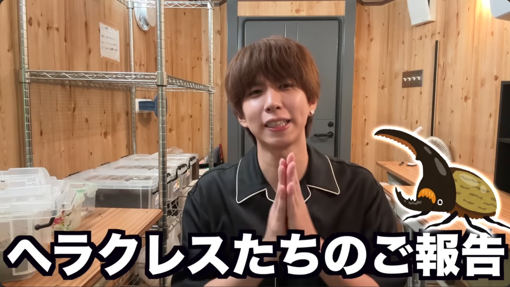 はじめしゃちょー、レアな昆虫の羽化を報告の画像