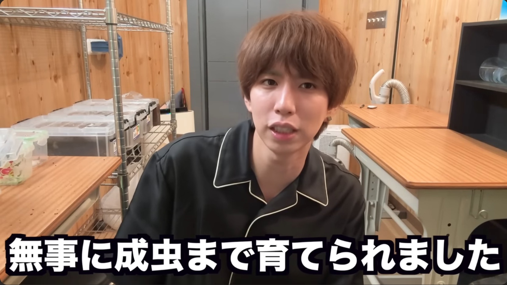 はじめしゃちょー、レアな昆虫の羽化を報告の画像