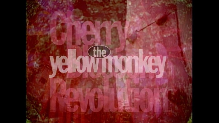『THE YELLOW MONKEY Cherry Blossom Revolution -Live at BUDOKAN-』ビジュアル