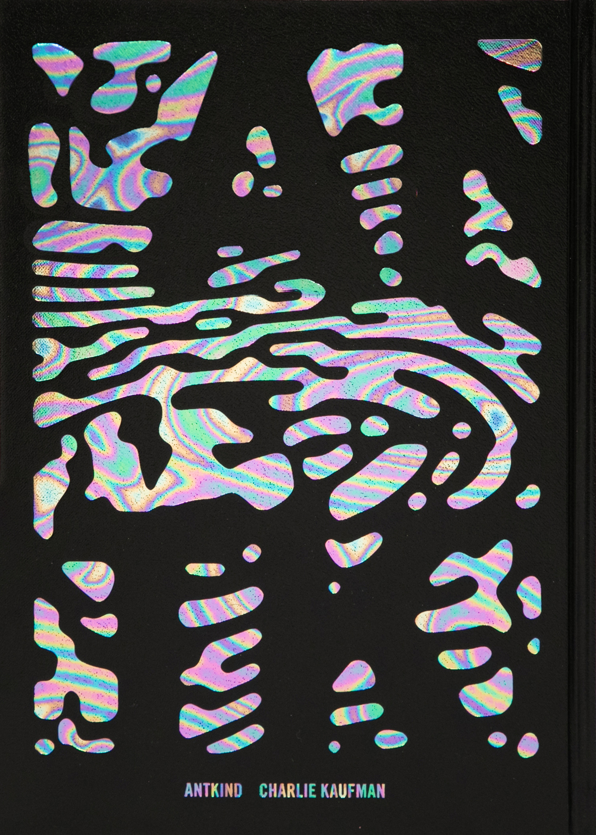 カウフマン初小説『アントカインド』翻訳版の画像