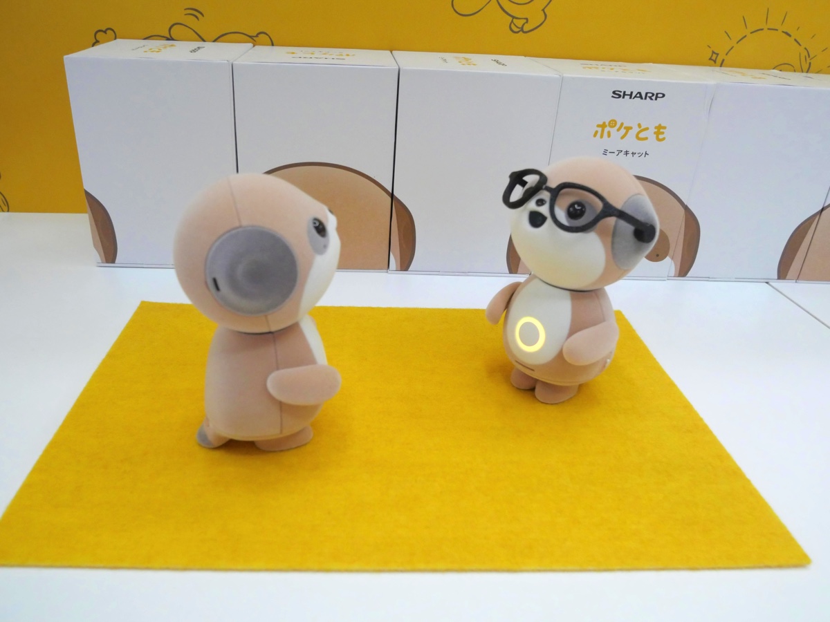 対話AIキャラクター『ポケとも』