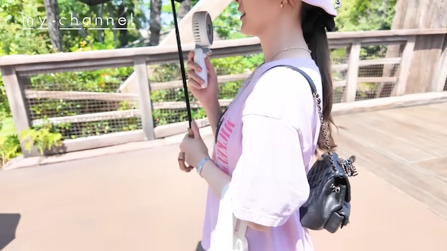 白石麻衣、33歳迎えてディズニーへの画像