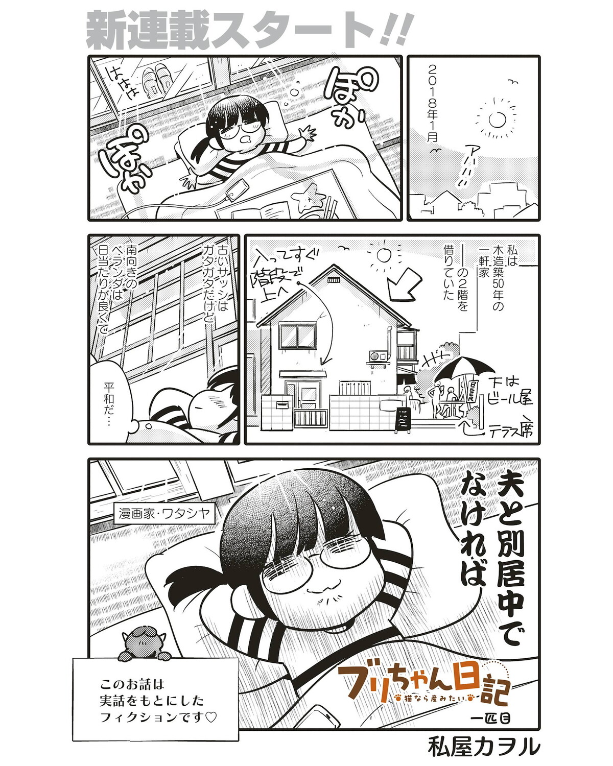 【漫画】子どもは無理でも猫なら産みたい？の画像