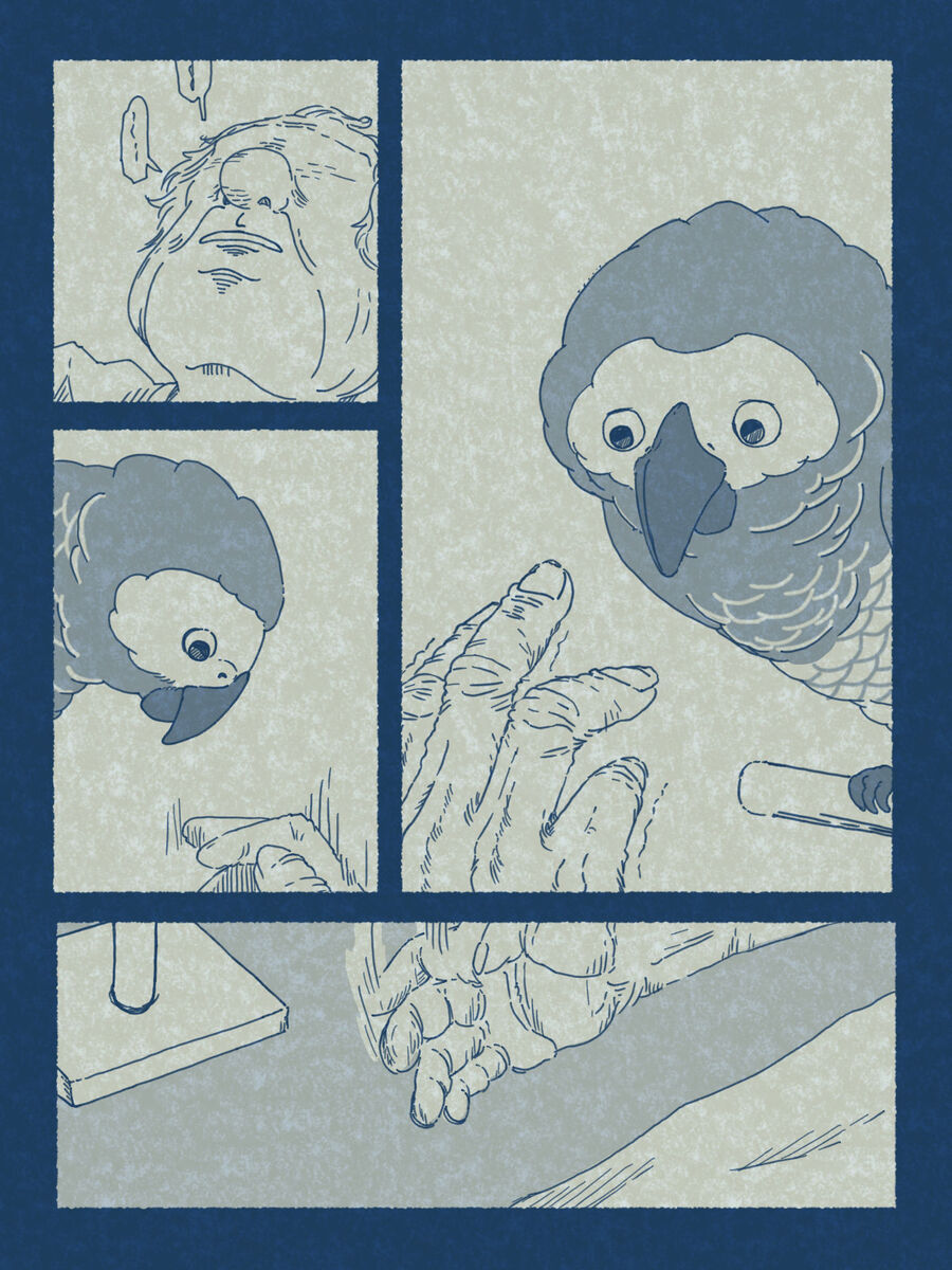 【漫画】寂れたお墓に住むヨウムの画像