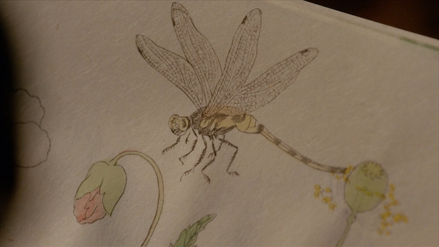 『べらぼう』が問う何のために生まれたのかの画像