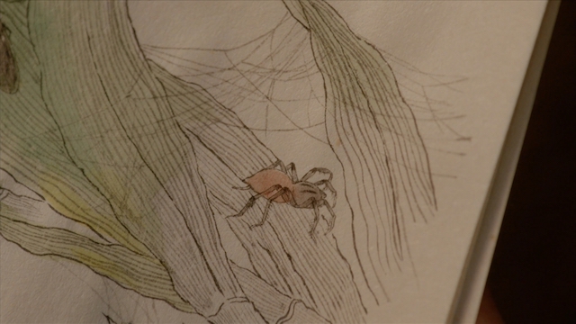 『べらぼう』が問う何のために生まれたのかの画像