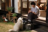 『初恋DOGs』最終話先行カットの画像
