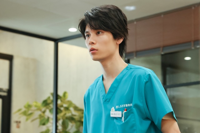 『初恋DOGs』最終話先行カットの画像