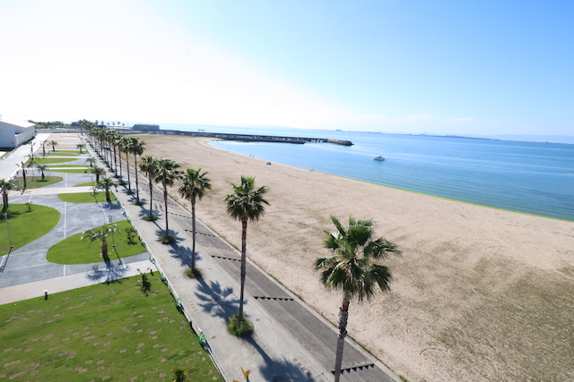 泉南ロングビーチ写真