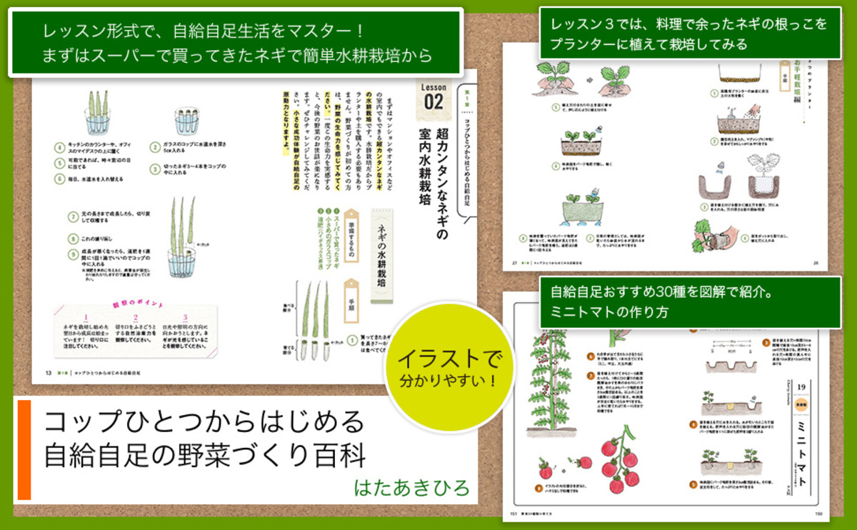 はたあきひろの野菜作り実用書が話題