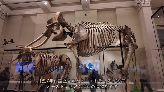 シドニー旅を満喫するホラン千秋