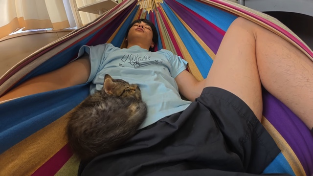 すしらーめん《りく》が保護した子猫「こてんちゃん」