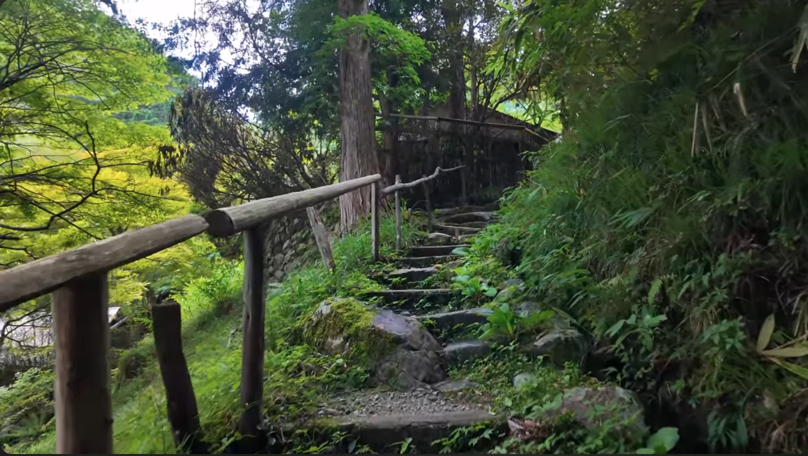 旅系YouTuber、“秘境の一軒宿”に反響の画像