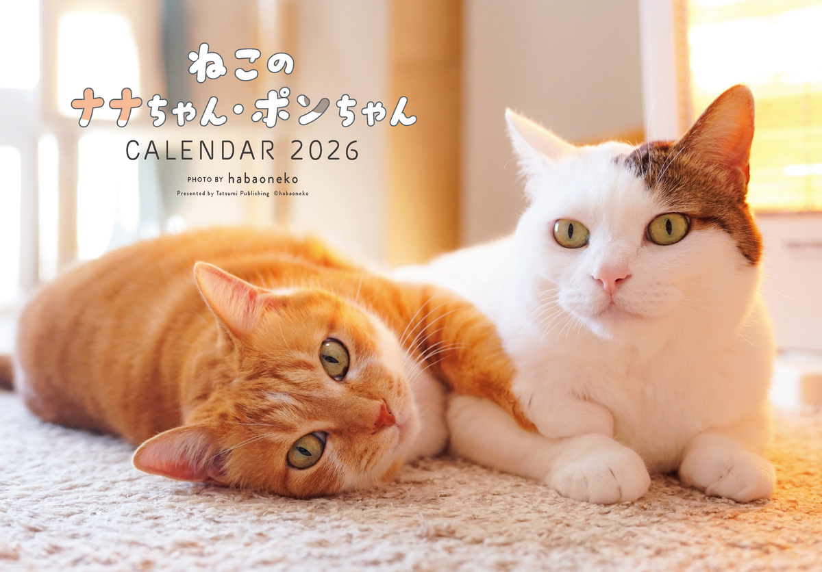 ねこのナナちゃん・ポンちゃんカレンダーの画像