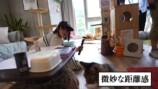 猫に癒される岡田紗佳