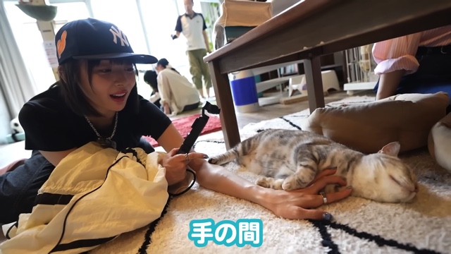 猫に癒される岡田紗佳