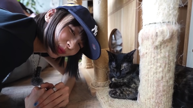 猫に癒される岡田紗佳