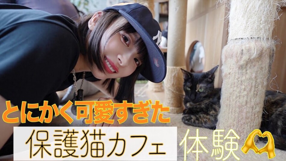 岡田紗佳、保護猫カフェで猫たちと戯れる
