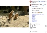 Snow Man 佐久間大介、タイオフショットの画像
