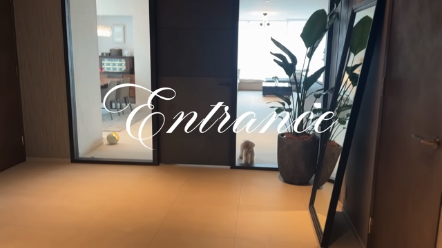 板野友美の自宅