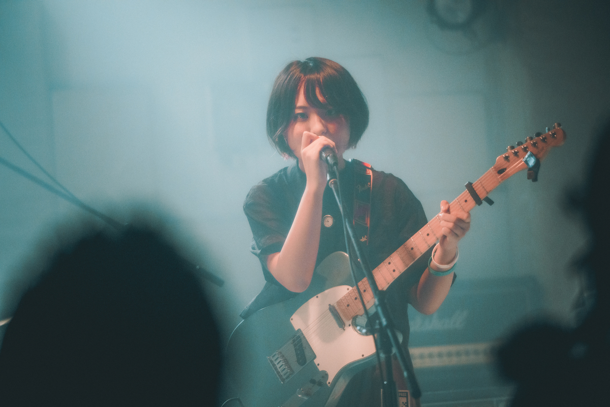 マリンブルーデージー（撮影＝こうへい）