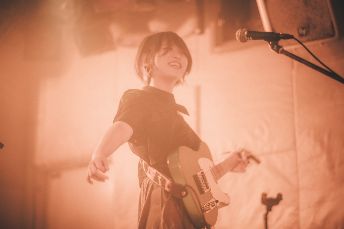 マリンブルーデージー（撮影＝こうへい）