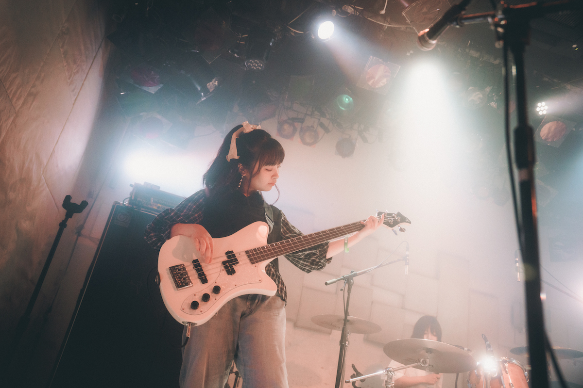 マリンブルーデージー（撮影＝こうへい）