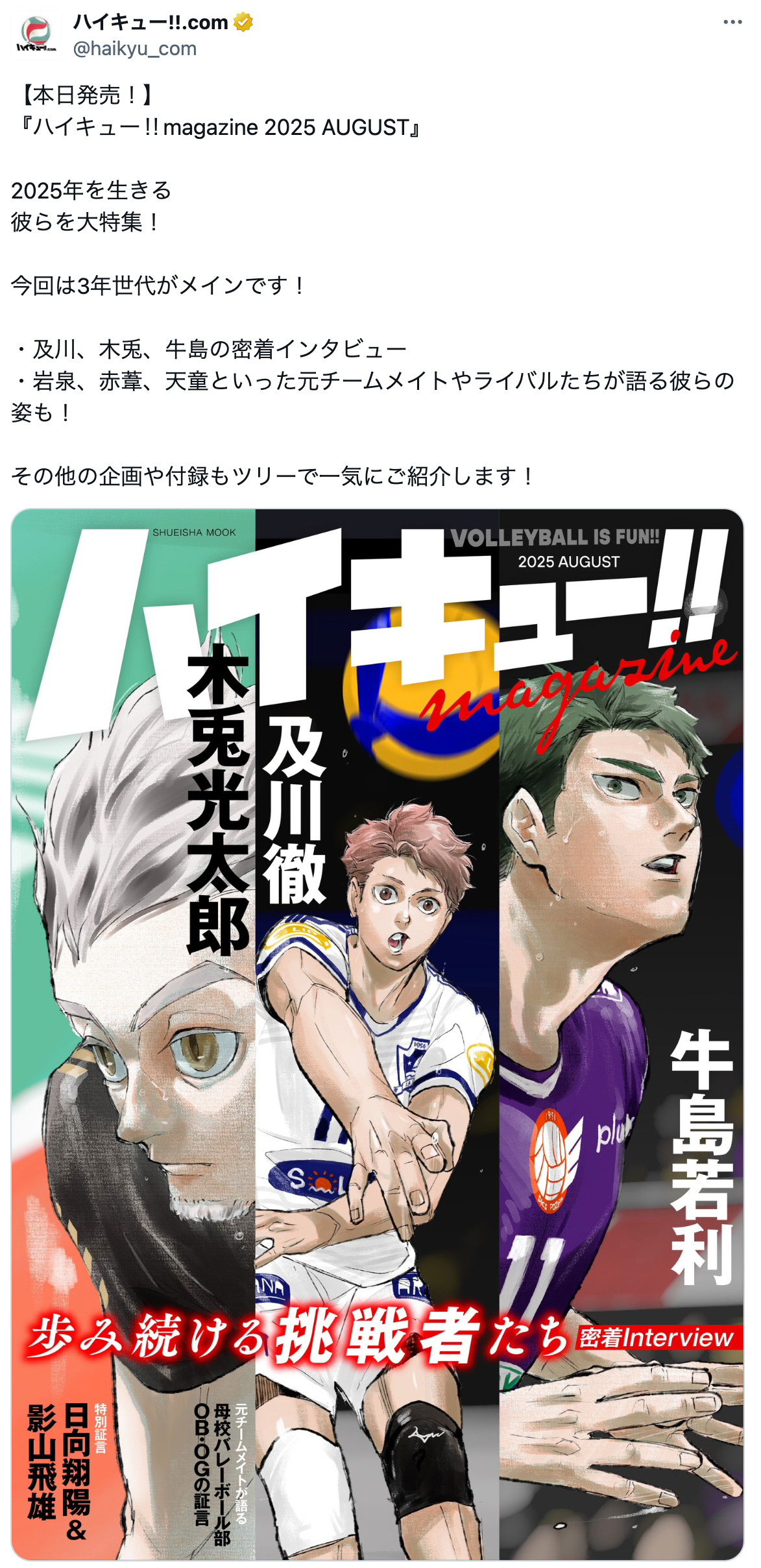 『ハイキュー!!』選手の現在進行形の生き様