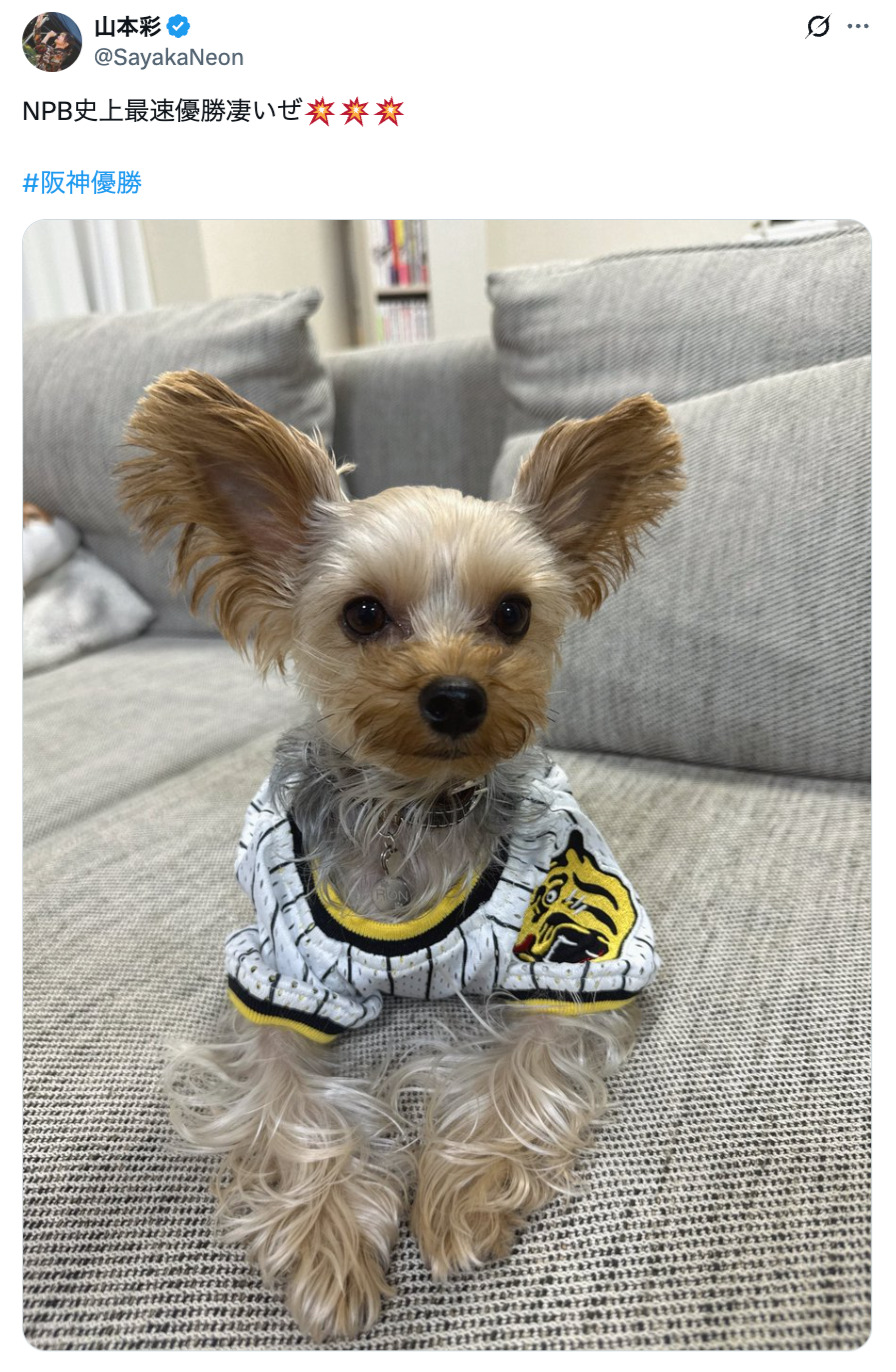阪神タイガースが優勝、喜びの声続々！