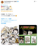 阪神タイガースが優勝、喜びの声続々！の画像